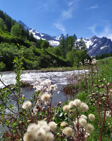 Französisch lernen im Wallis Sprachaufenthalt Schweiz