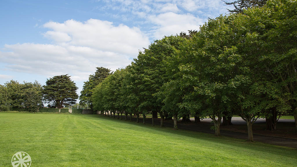 Irland_-_Sprachaufenthalt_für_Jugendliche_im_Dublin_-_Aktivitäten_