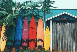 Surf Feriencamps in California